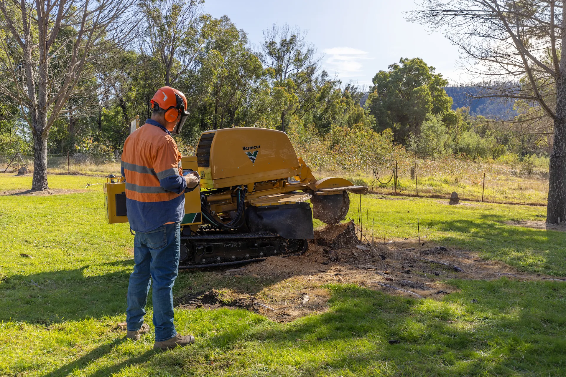 Ground Down Stump Grinding