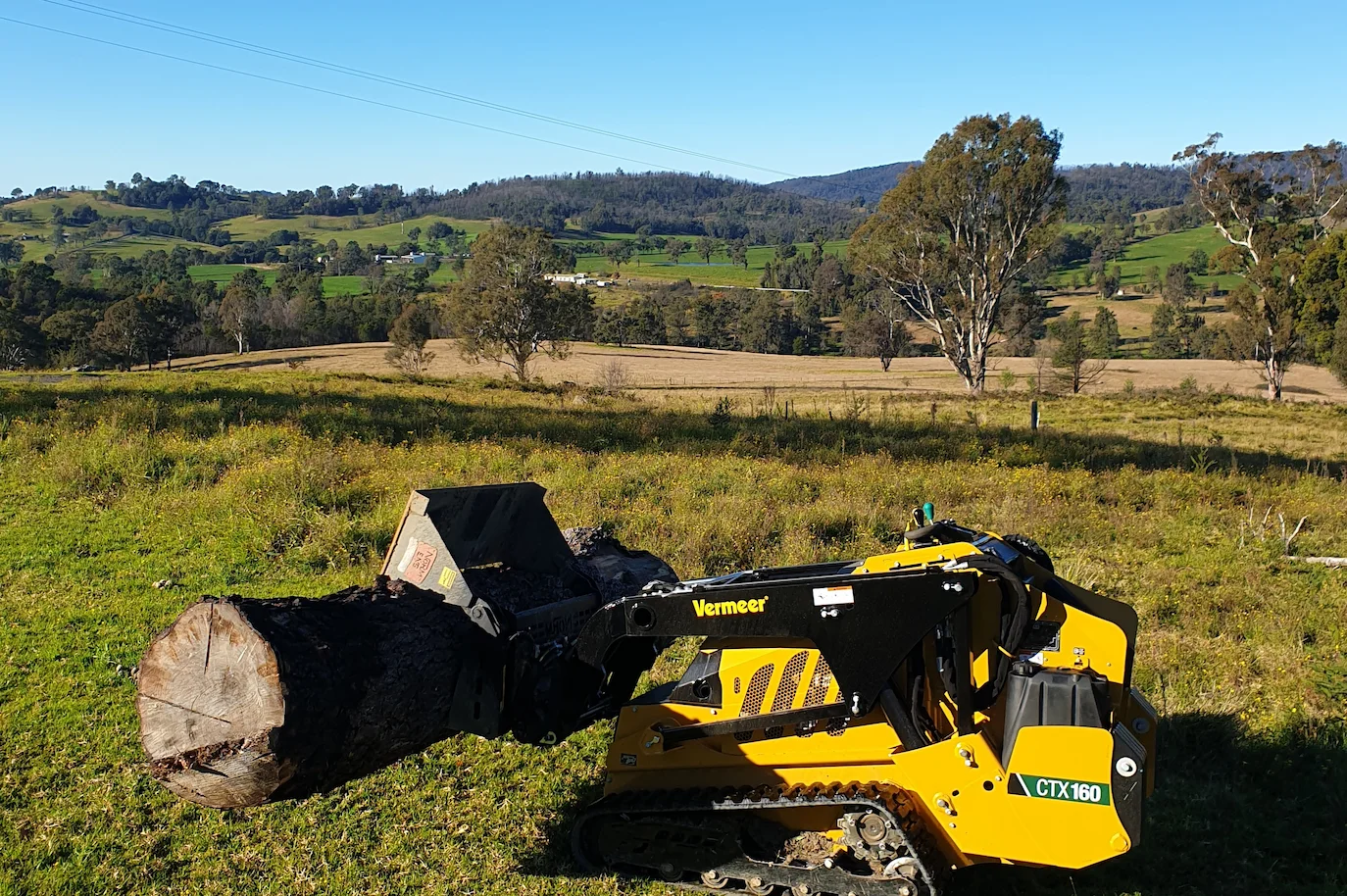 Small tree removal