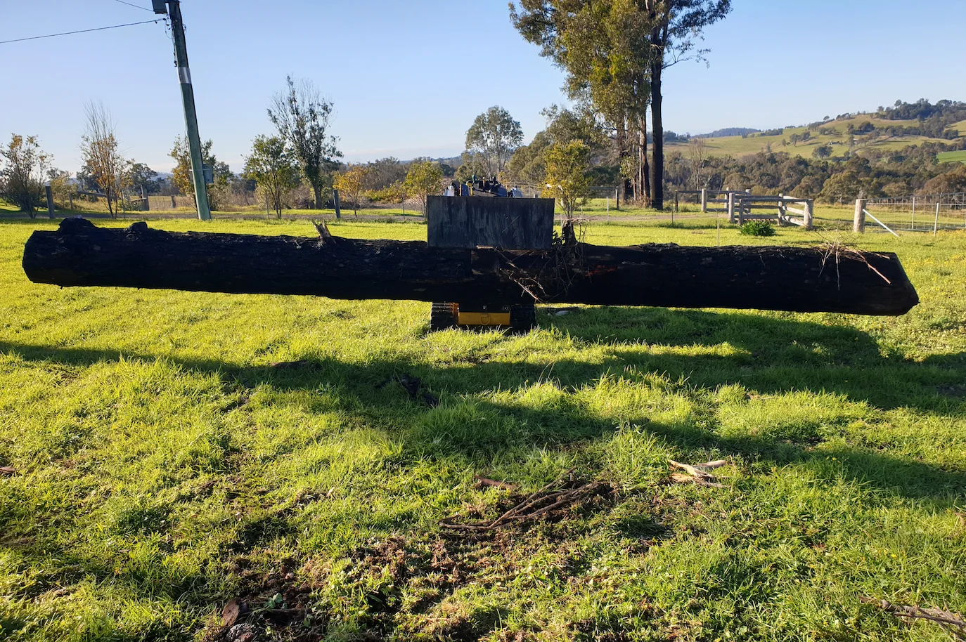 Small tree removal